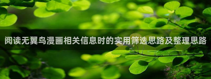 51漫画免费阅读:阅读无翼鸟漫画相关信息时的实用筛选思路及整理思路