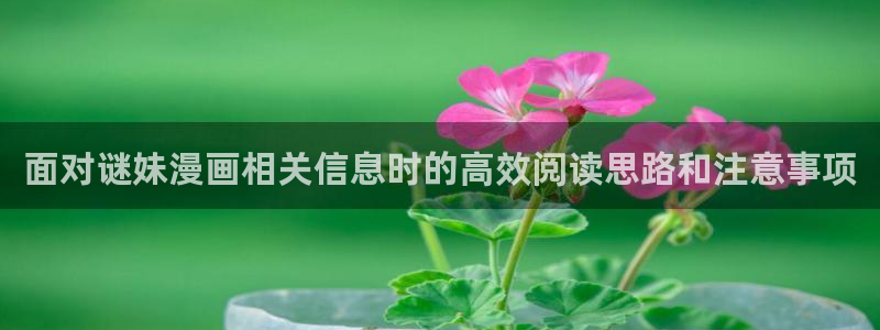 51漫画漫画更新资讯:面对谜妹漫画相关信息时的高效阅读思路和注意事项