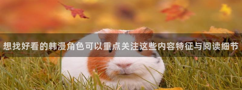 51漫画国漫:想找好看的韩漫角色可以重点关注这些内容特征与阅读细节